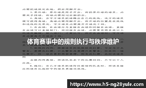 体育赛事中的规则执行与秩序维护